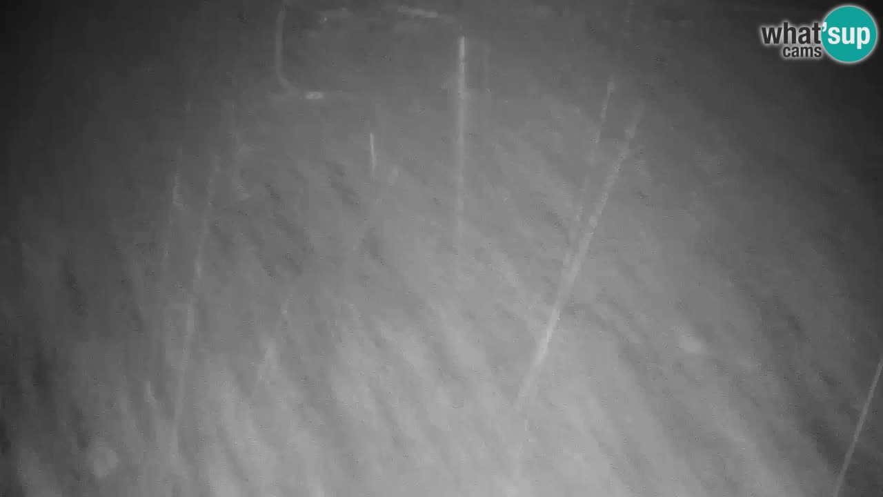 Webcam Kranjska Gora VITRANC 2 | Station supérieure