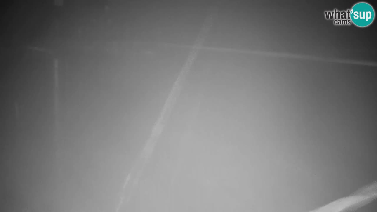 Webcam Kranjska Gora VITRANC 2 | Station supérieure