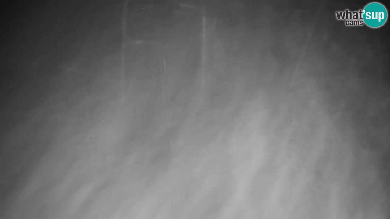 Web kamera Kranjska Gora VITRANC 2 | gornja postaja