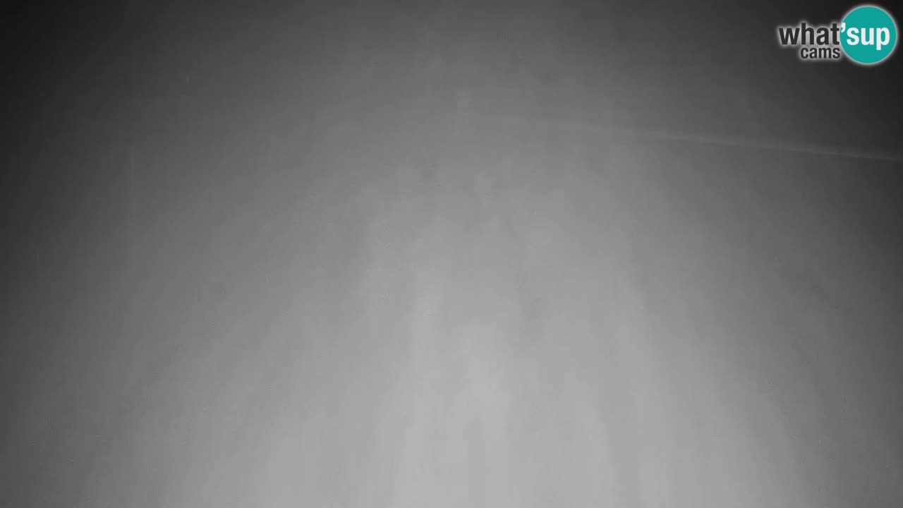 Webcam Kranjska Gora VITRANC 2 upper station