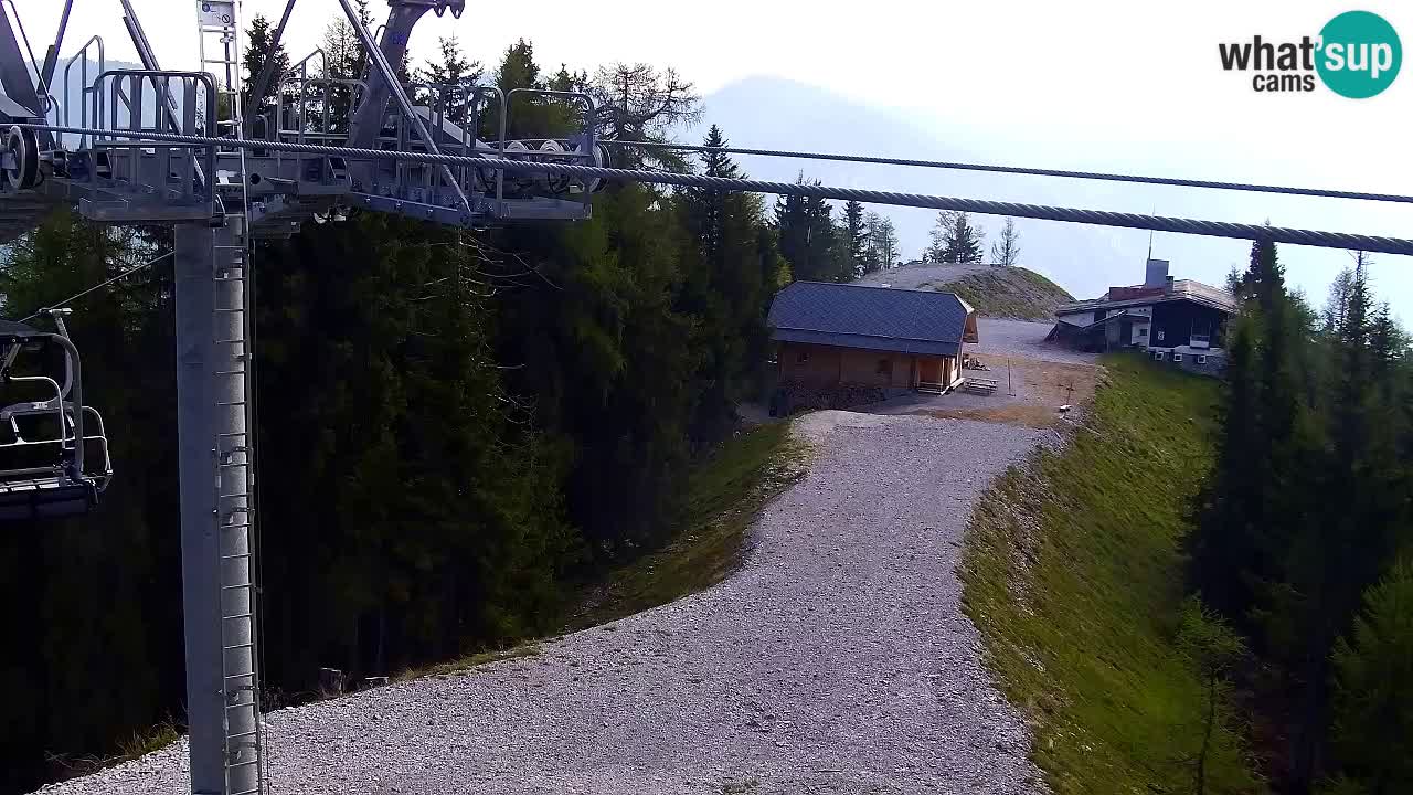 Webcam Kranjska Gora VITRANC 2 | Station supérieure