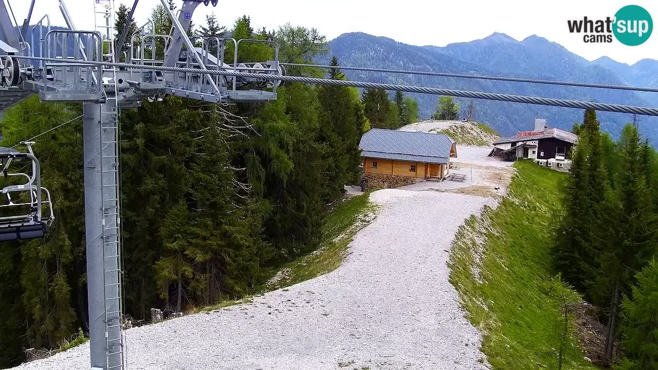 Web kamera Kranjska Gora VITRANC 2 | gornja postaja