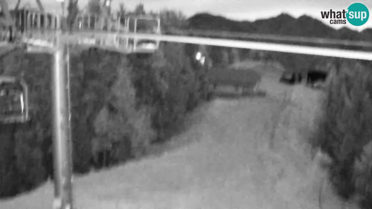 Webcam Kranjska Gora VITRANC 2 | station supérieure