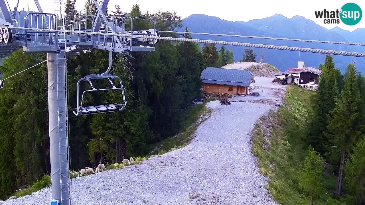 Webcam Kranjska Gora VITRANC 2 | Station supérieure