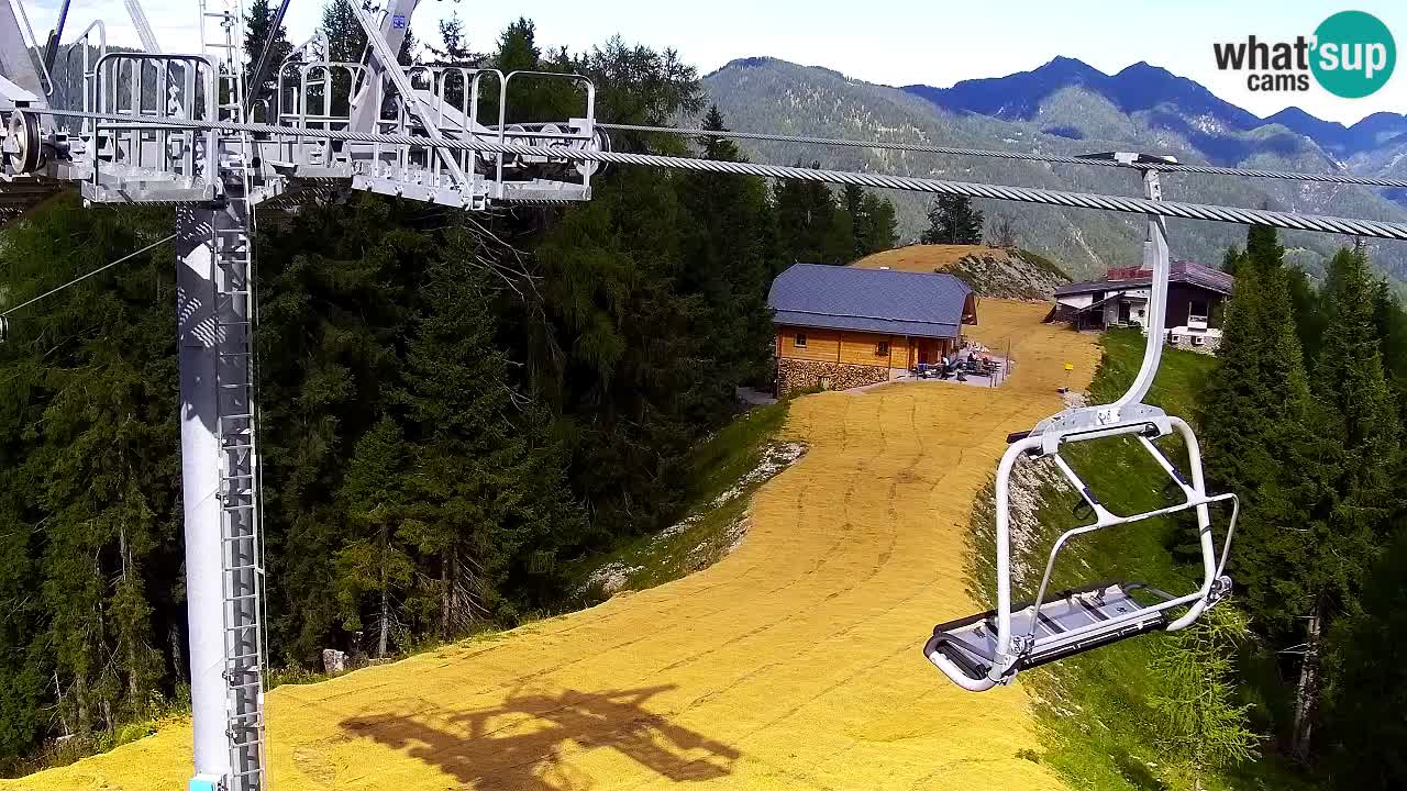 Webcam VITRANC 2 | Kranjska Gora – stazione superiore