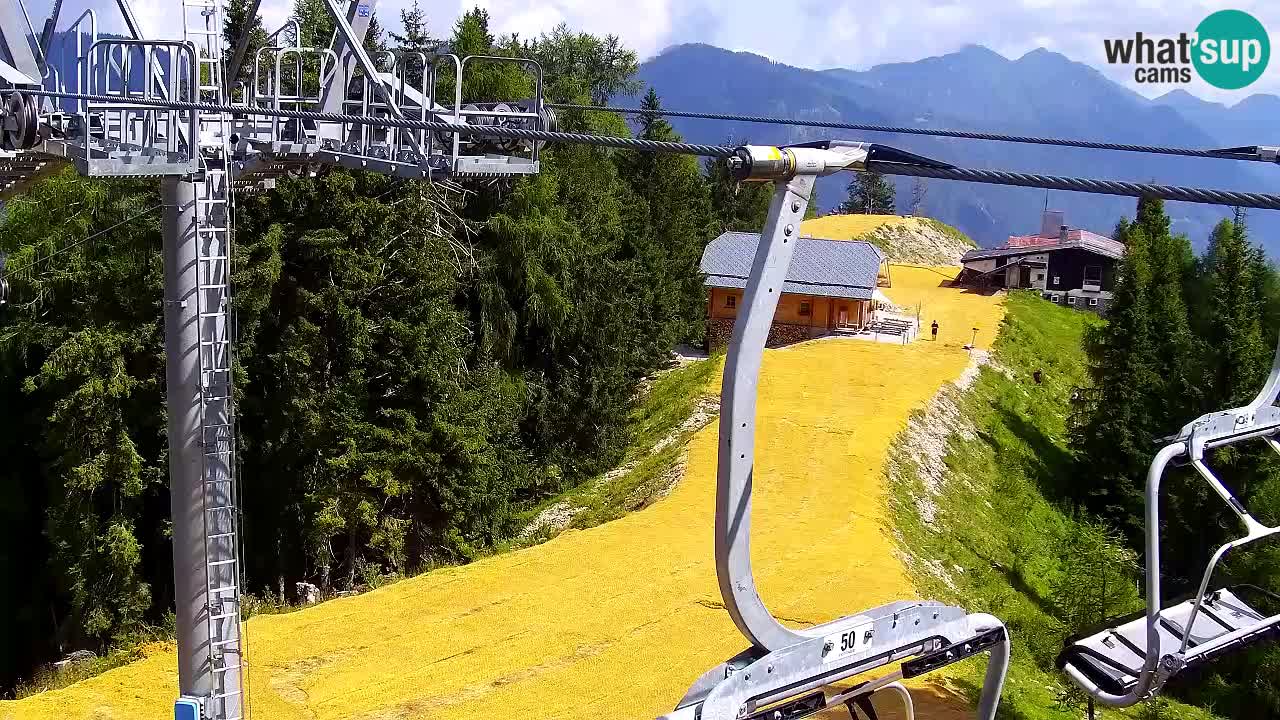 Web kamera Kranjska Gora VITRANC 2 | gornja postaja