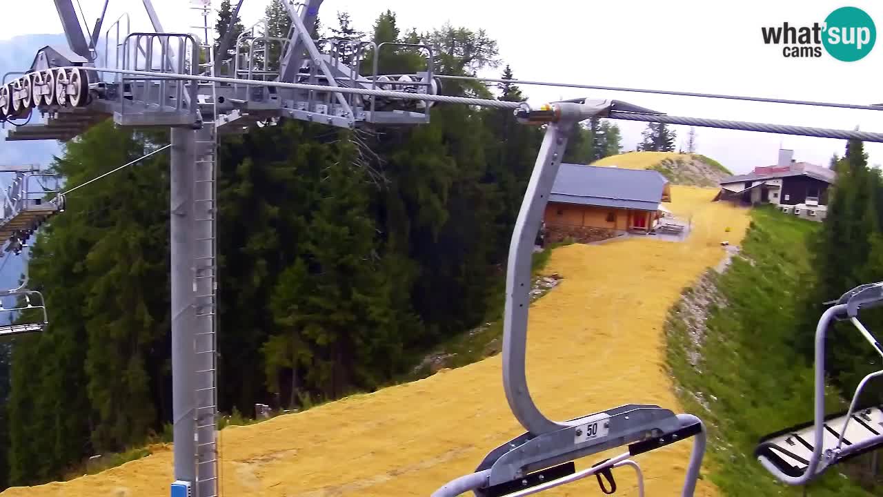Webcam Kranjska Gora VITRANC 2 | Station supérieure