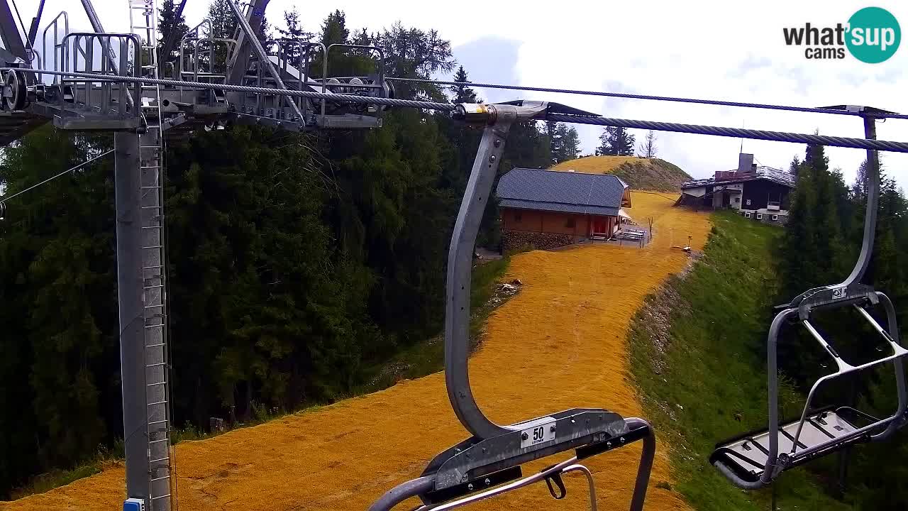 Web kamera Kranjska Gora VITRANC 2 | gornja postaja