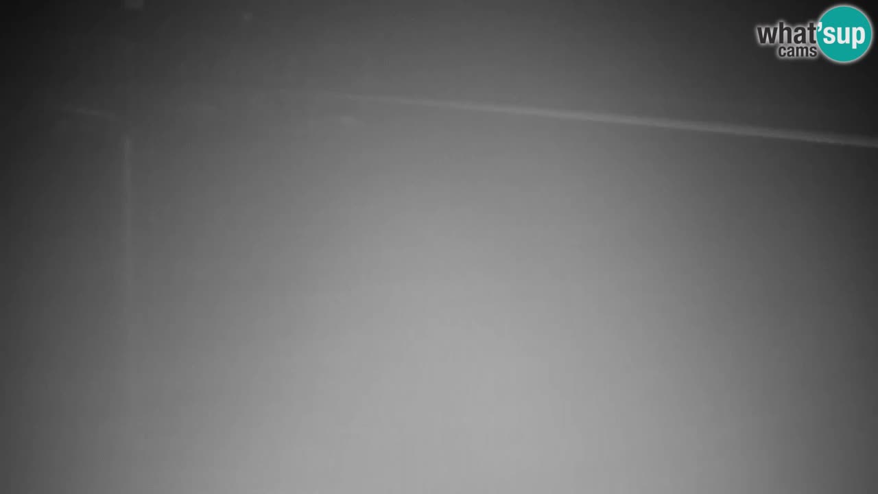 Web kamera Kranjska Gora VITRANC 2 | gornja postaja