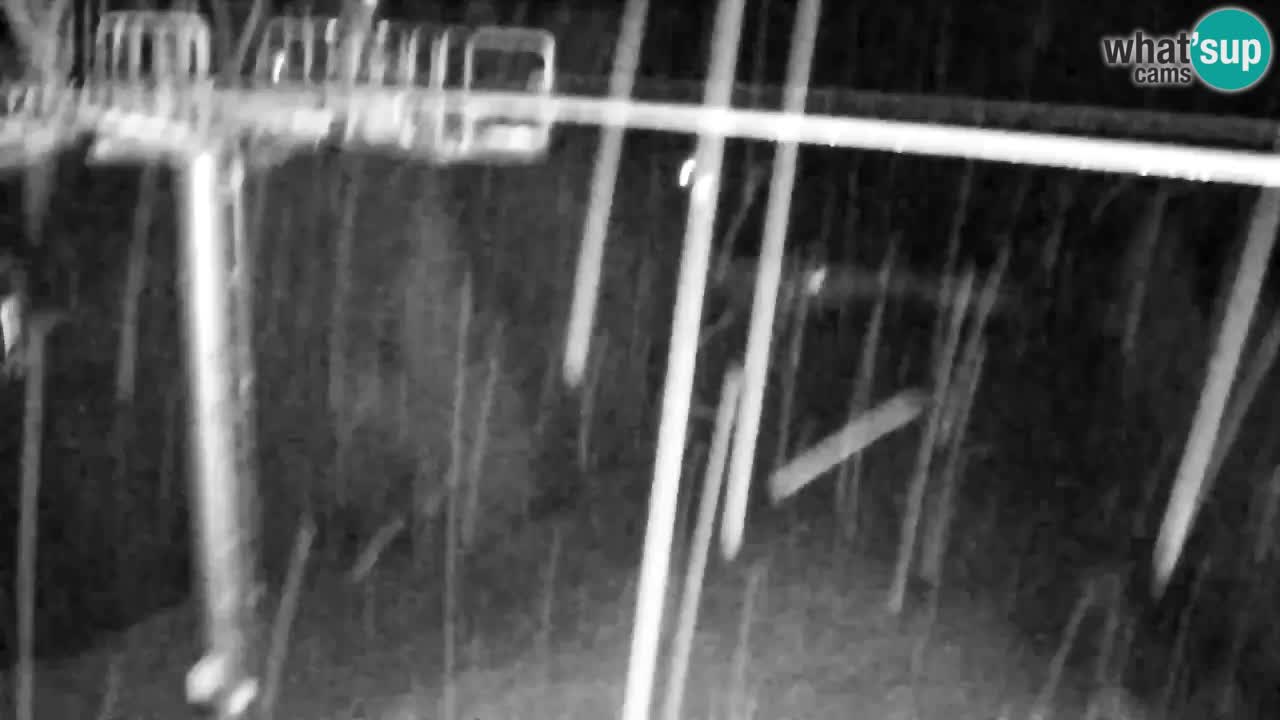 Kranjska Gora webcam VITRANC 2 | Bergstation