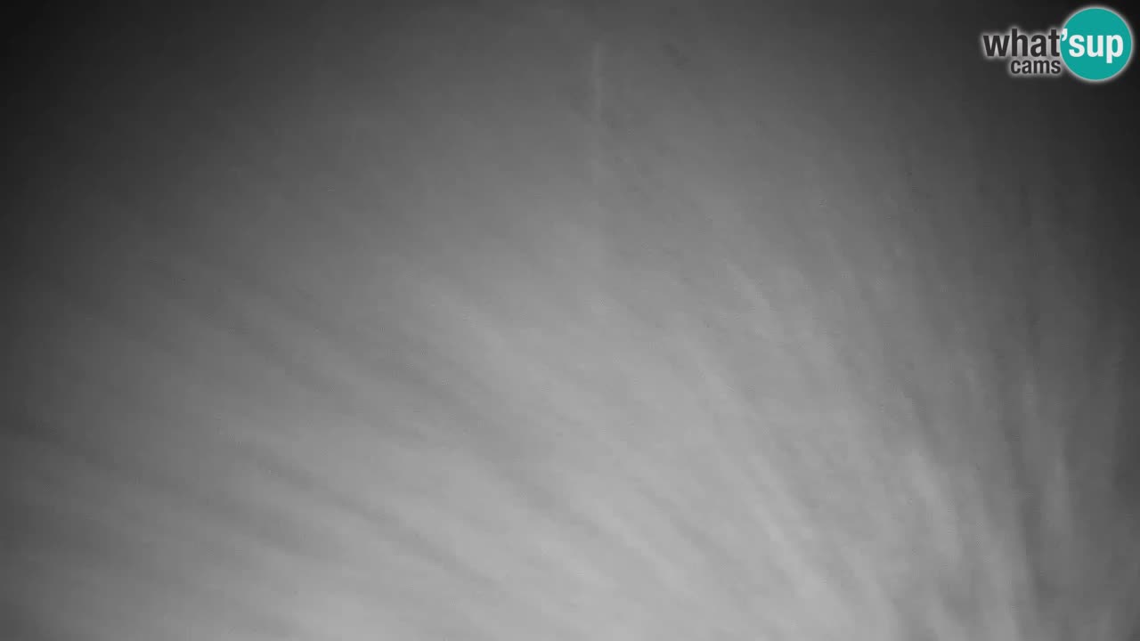 Webcam Kranjska Gora VITRANC 2 | Station supérieure