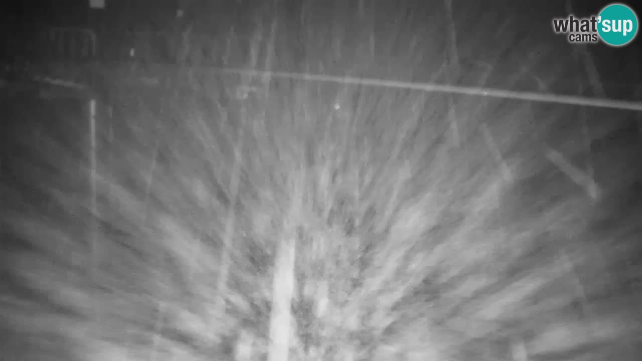 Webcam VITRANC 2 | Kranjska Gora – stazione superiore