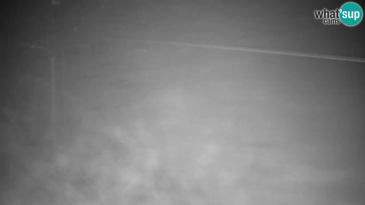 Web kamera Kranjska Gora VITRANC 2 | gornja postaja