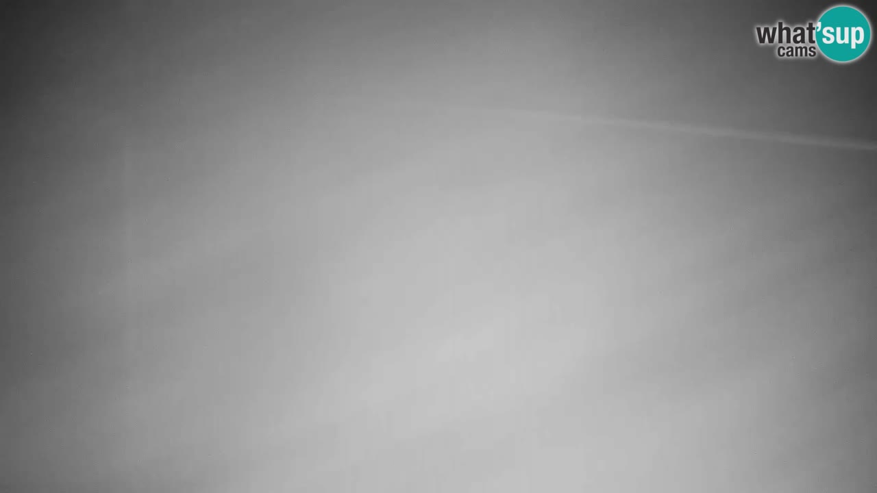 Webcam VITRANC 2 | Kranjska Gora – stazione superiore