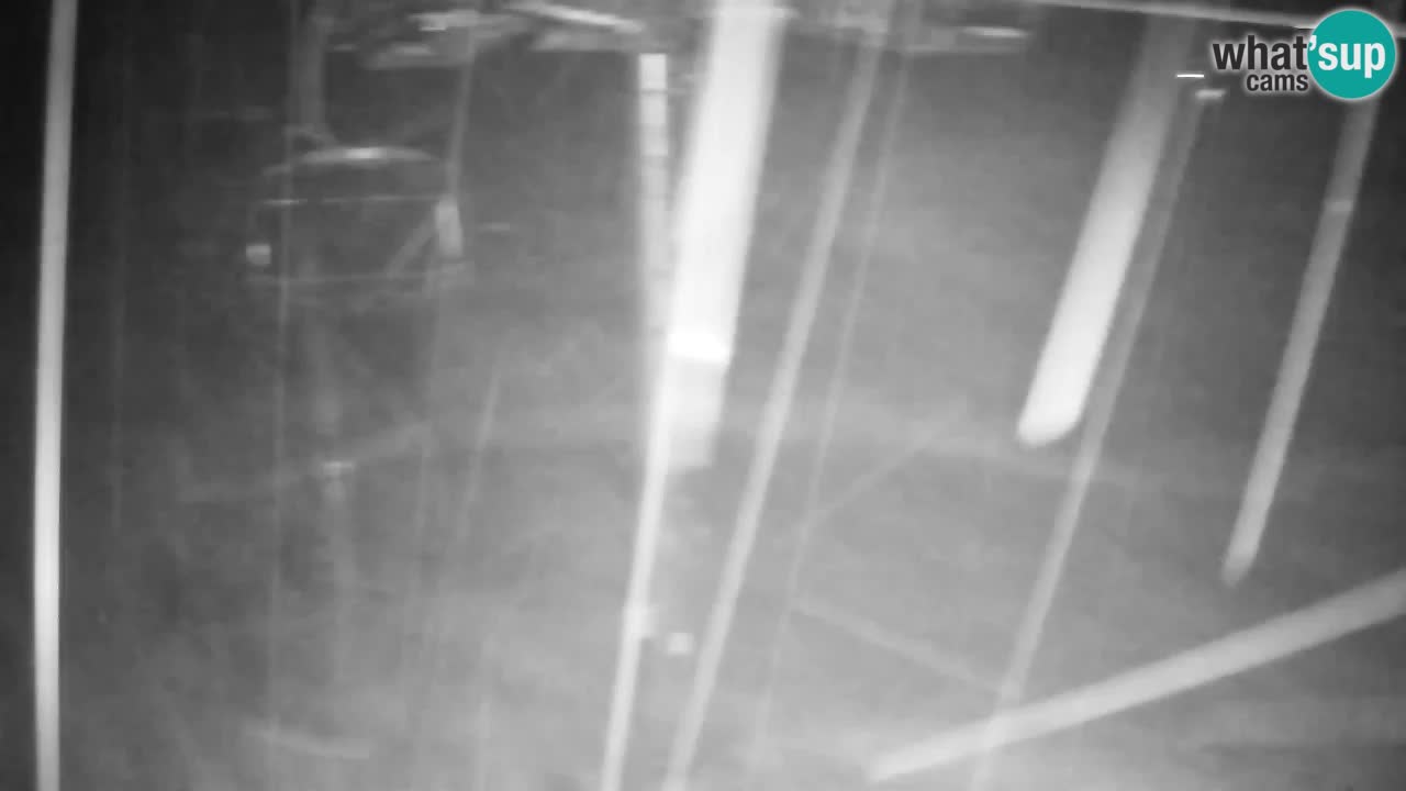 Web kamera Kranjska Gora VITRANC 2 | gornja postaja