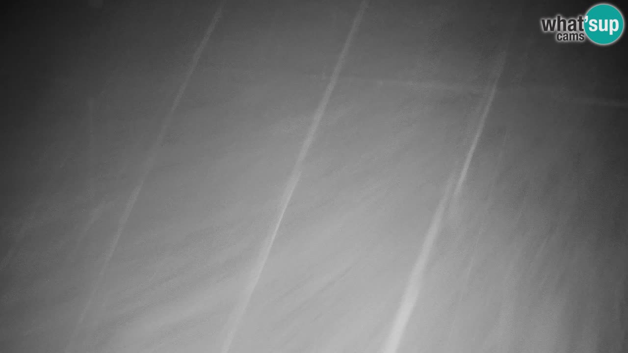 Webcam Kranjska Gora VITRANC 2 | station supérieure