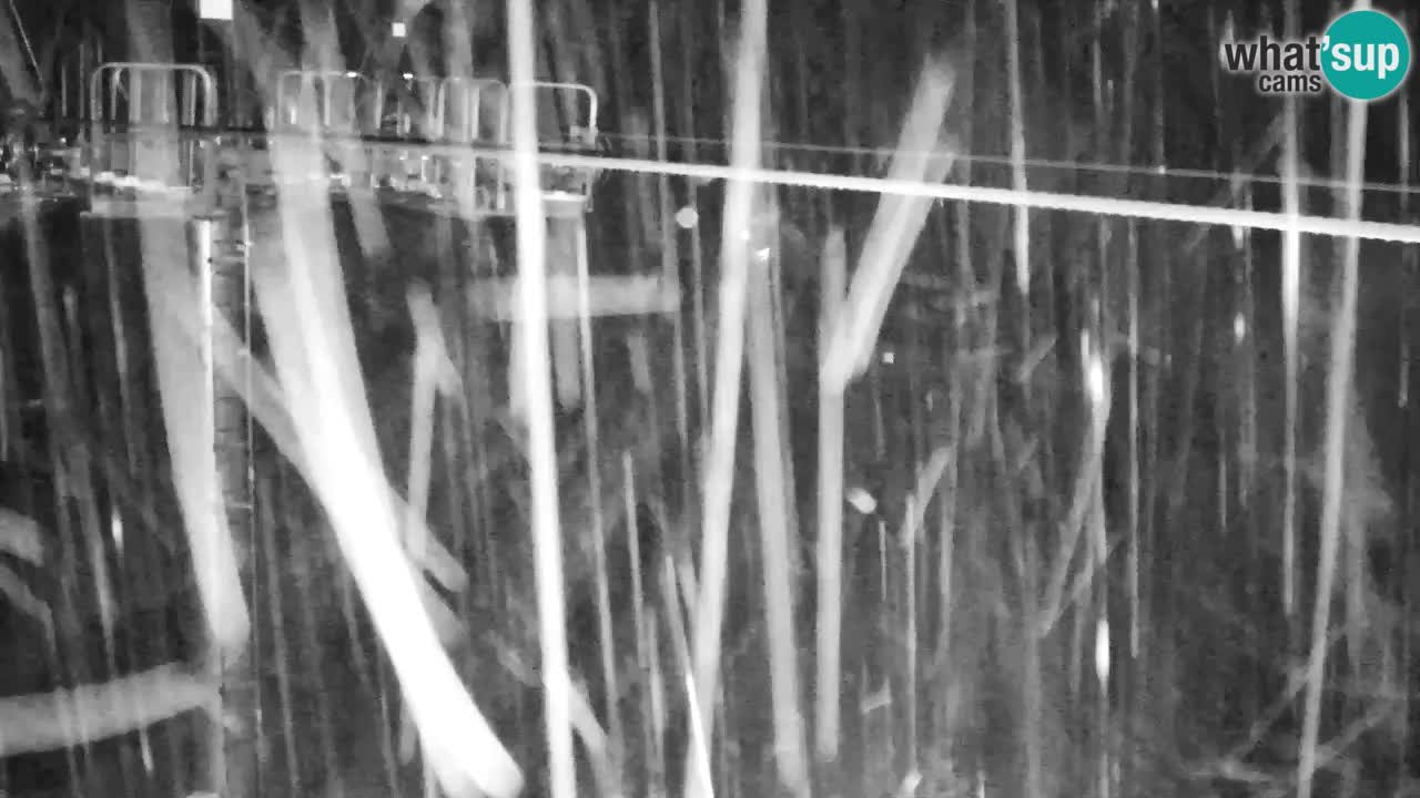 Kranjska Gora webcam VITRANC 2 | Bergstation