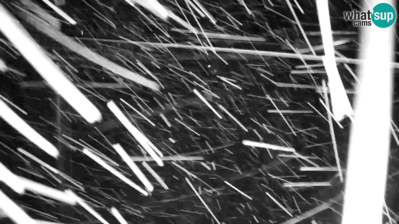 Webcam Kranjska Gora VITRANC 2 | station supérieure