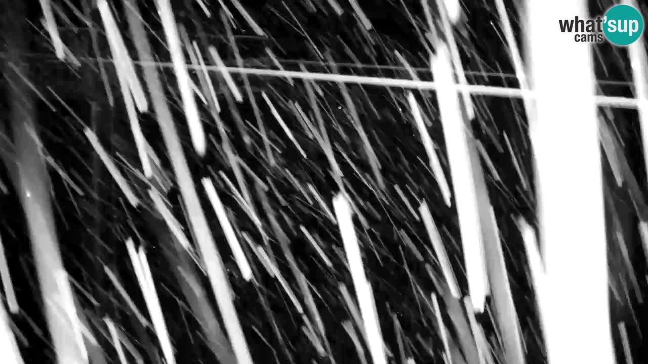 Webcam Kranjska Gora VITRANC 2 | Station supérieure