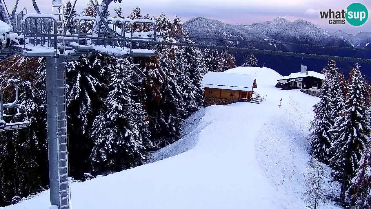 Webcam Kranjska Gora VITRANC 2 | Station supérieure