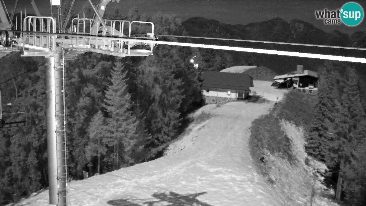Webcam Kranjska Gora VITRANC 2 | Station supérieure