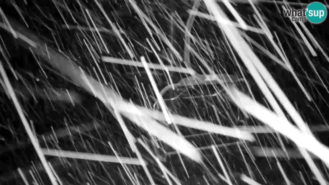 Web kamera Kranjska Gora VITRANC 2 | gornja postaja