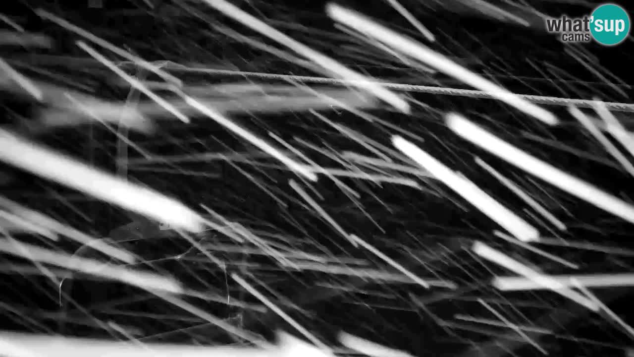 Webcam Kranjska Gora VITRANC 2 | Station supérieure