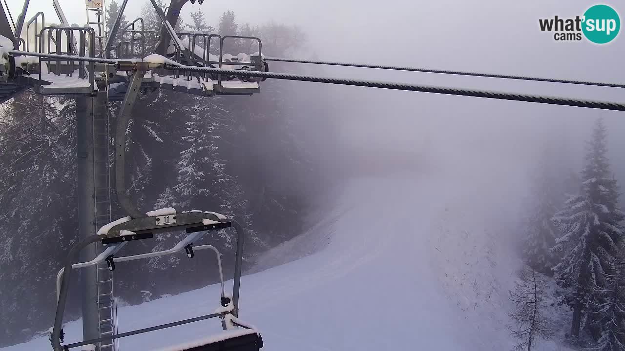 Web kamera Kranjska Gora VITRANC 2 | gornja postaja