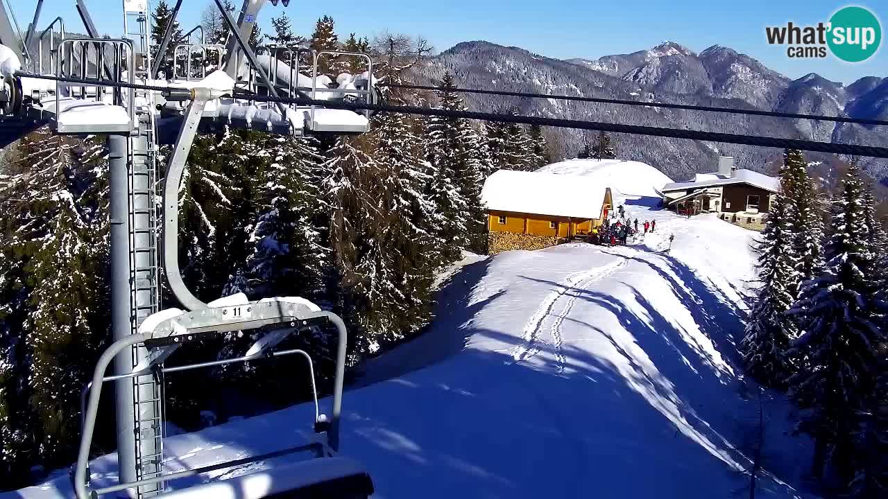 Webcam Kranjska Gora VITRANC 2 | station supérieure