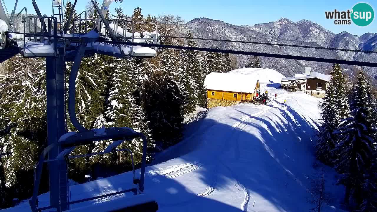 Web kamera Kranjska Gora VITRANC 2 | gornja postaja