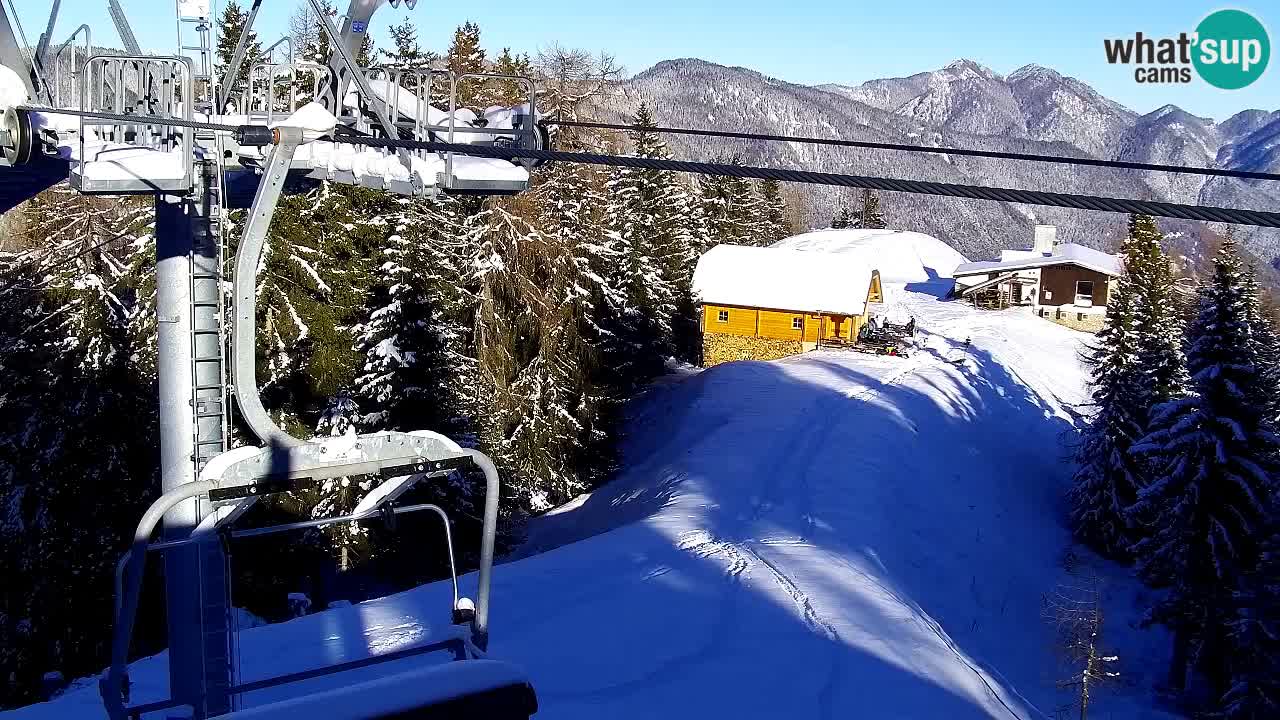 Webcam VITRANC 2 | Kranjska Gora – stazione superiore