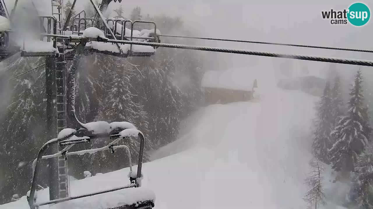 Webcam VITRANC 2 | Kranjska Gora – stazione superiore