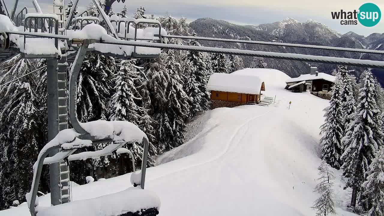 Web kamera Kranjska Gora VITRANC 2 | gornja postaja