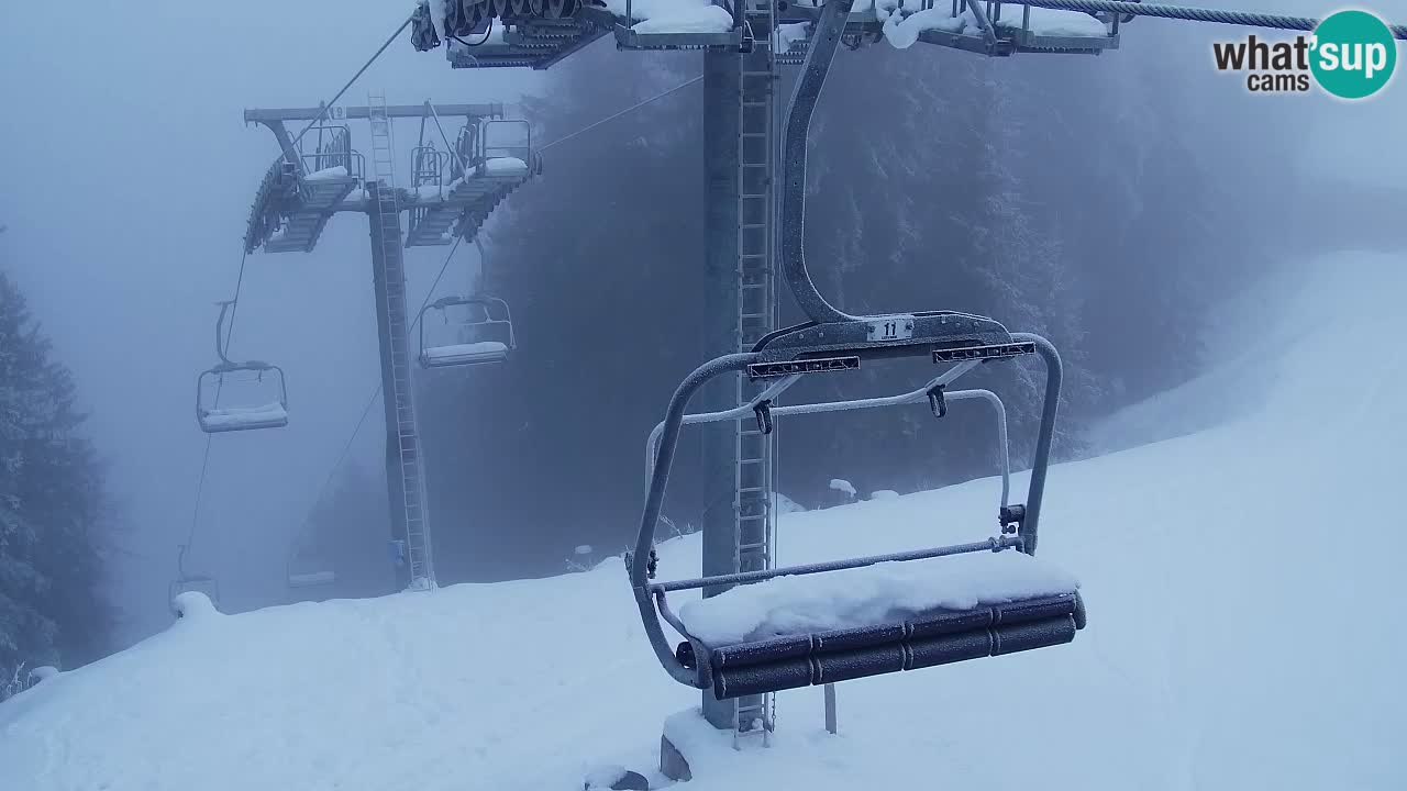 Webcam VITRANC 2 | Kranjska Gora – stazione superiore