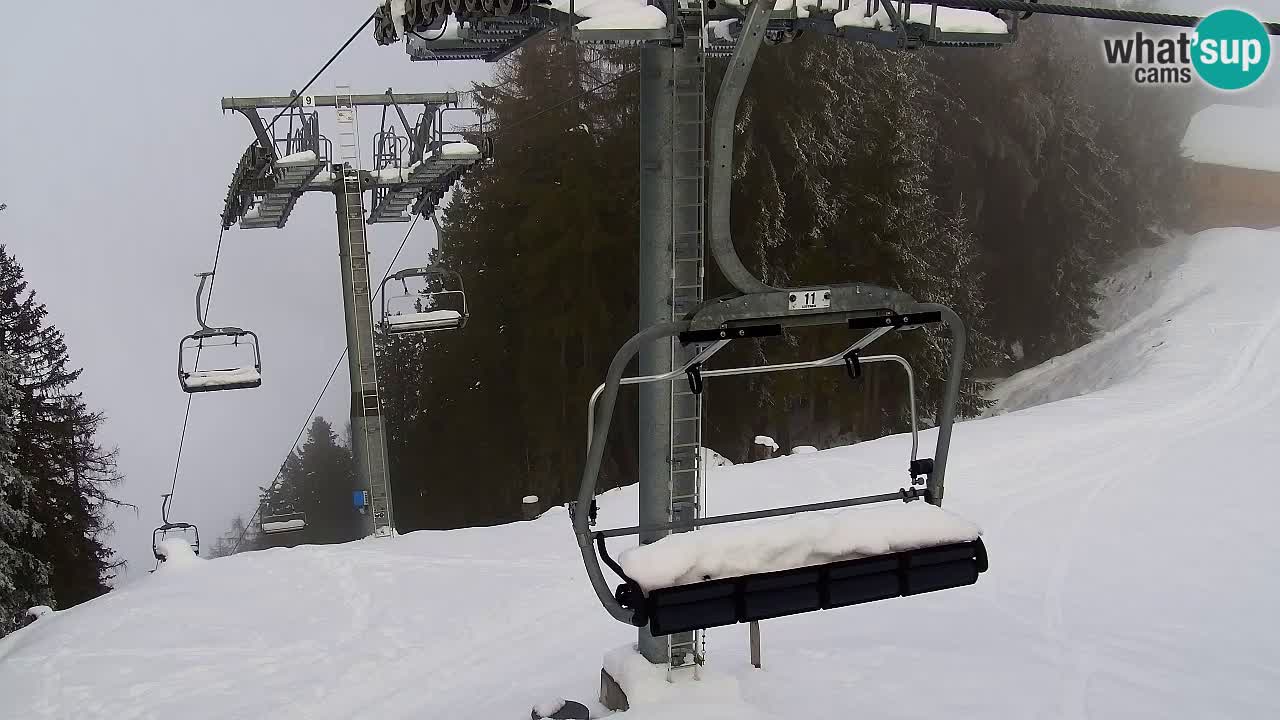 Webcam VITRANC 2 | Kranjska Gora – stazione superiore