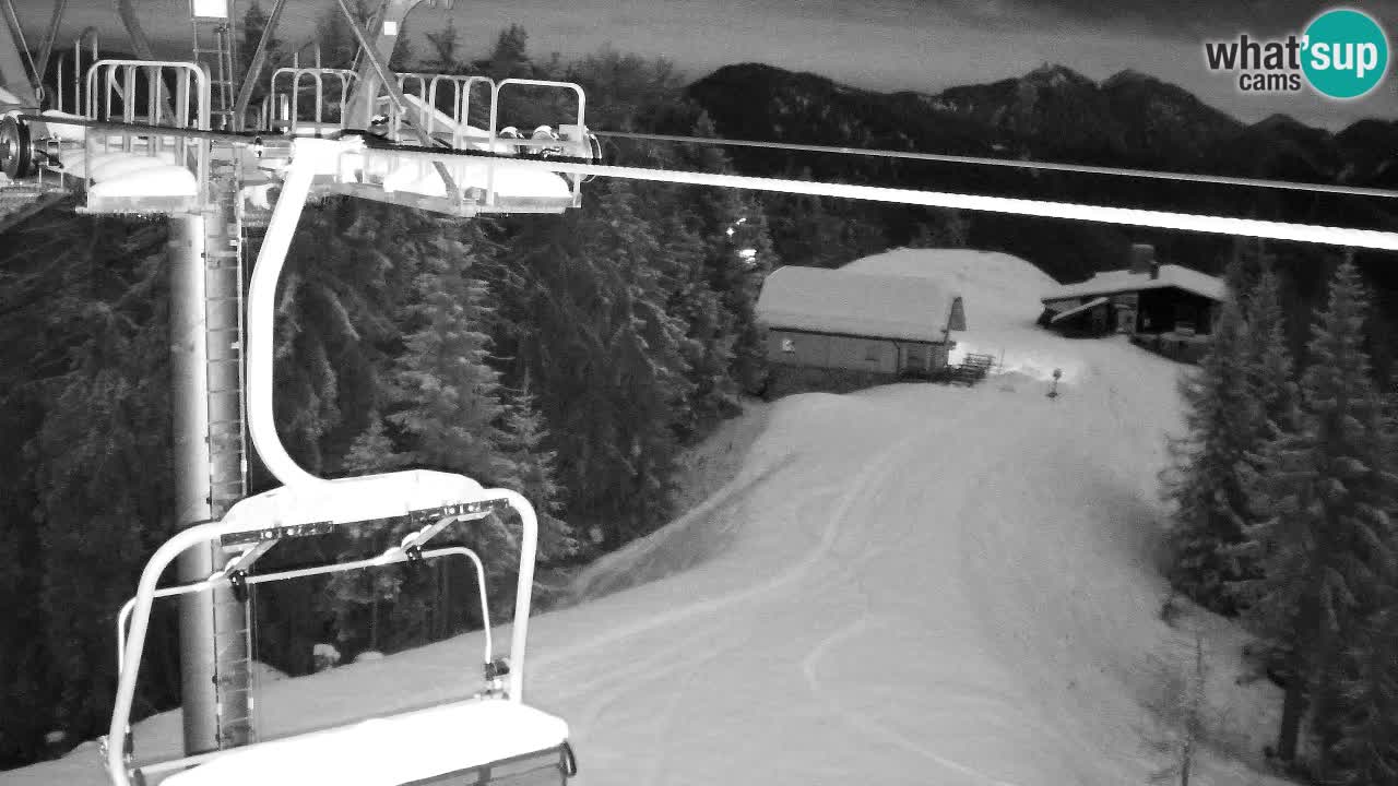 Webcam VITRANC 2 | Kranjska Gora – stazione superiore