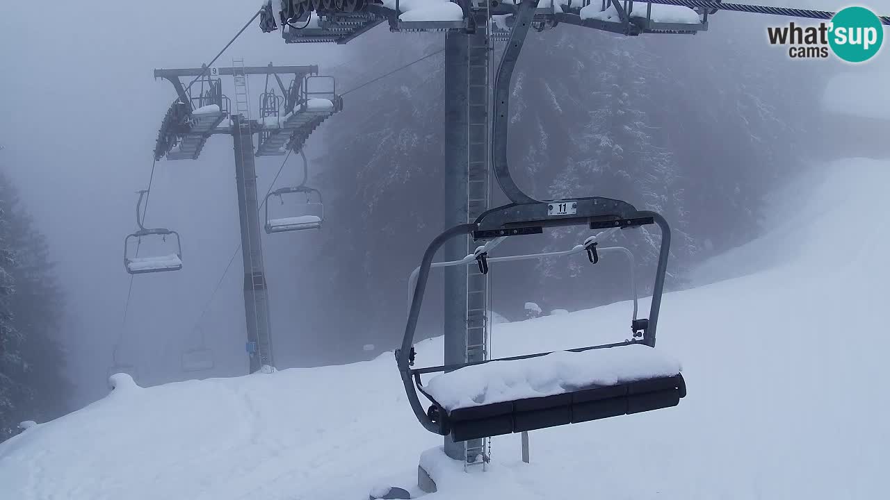 Web kamera Kranjska Gora VITRANC 2 | gornja postaja