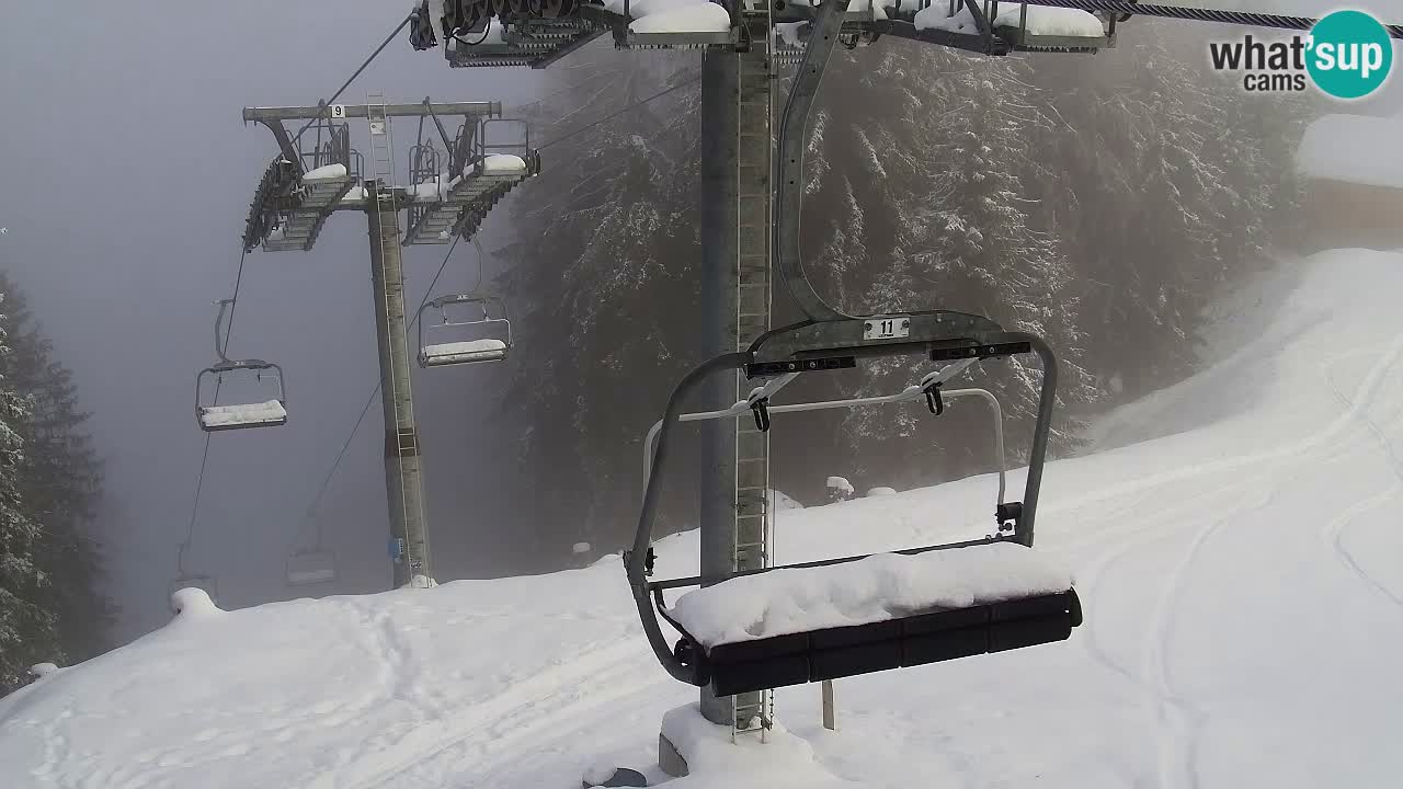 Web kamera Kranjska Gora VITRANC 2 | gornja postaja