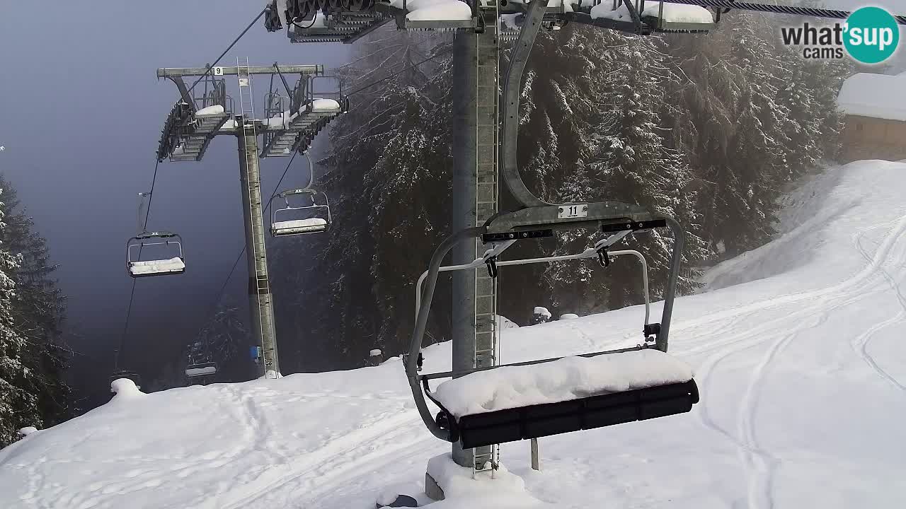 Web kamera Kranjska Gora VITRANC 2 | gornja postaja