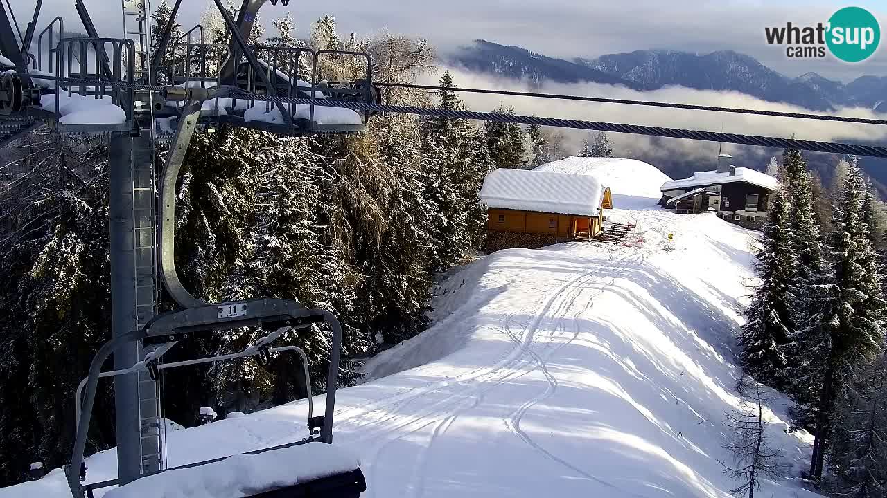 Webcam Kranjska Gora VITRANC 2 | station supérieure