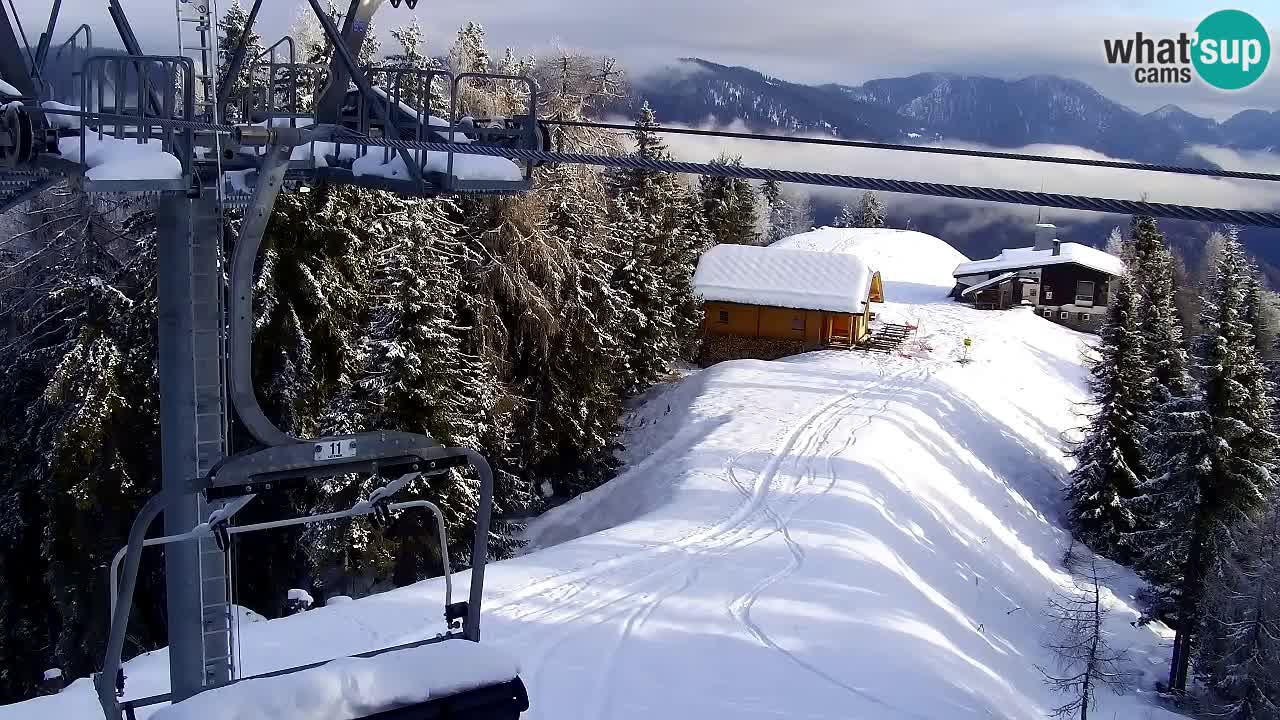 Web kamera Kranjska Gora VITRANC 2 | gornja postaja