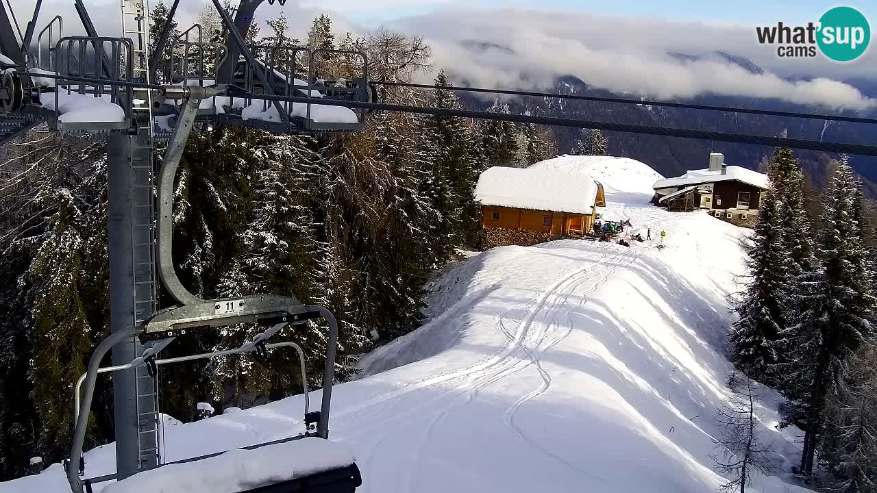Webcam Kranjska Gora VITRANC 2 | Station supérieure