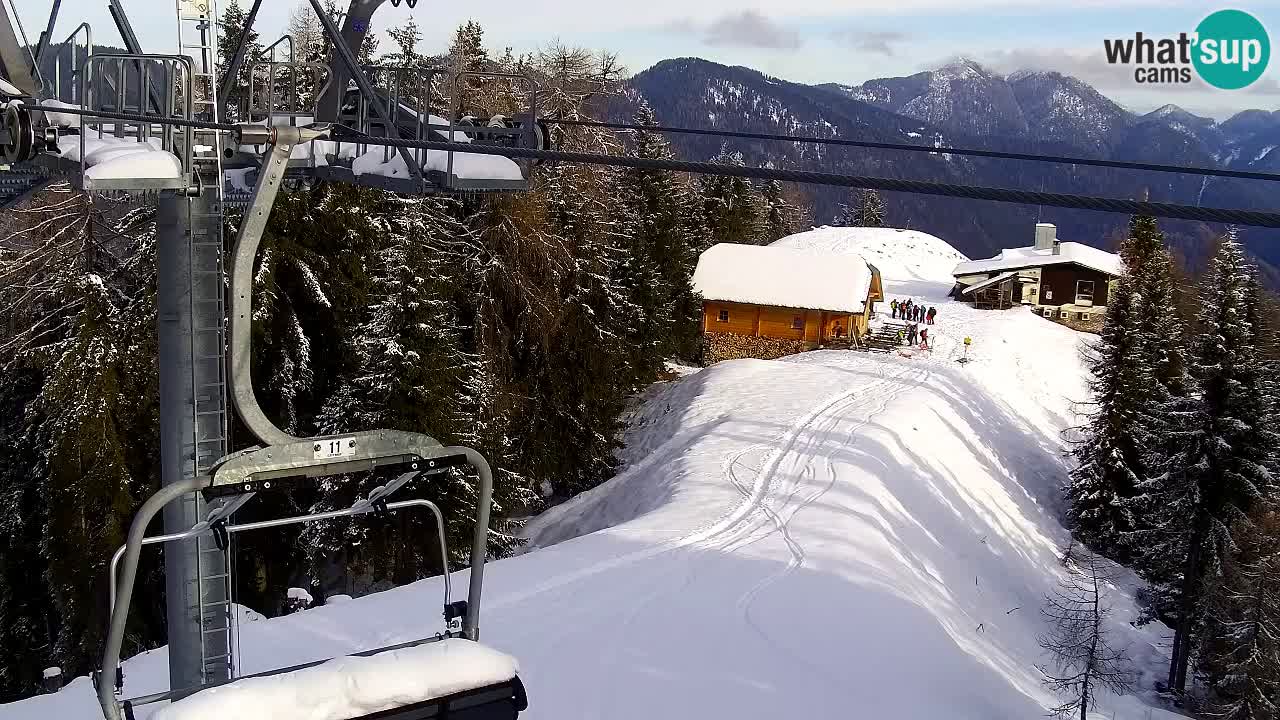 Webcam VITRANC 2 | Kranjska Gora – stazione superiore