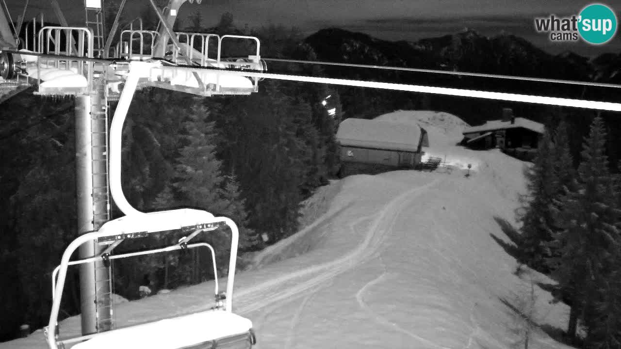 Web kamera Kranjska Gora VITRANC 2 | gornja postaja