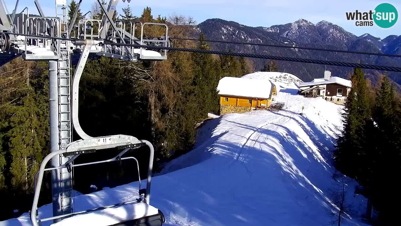 Web kamera Kranjska Gora VITRANC 2 | gornja postaja