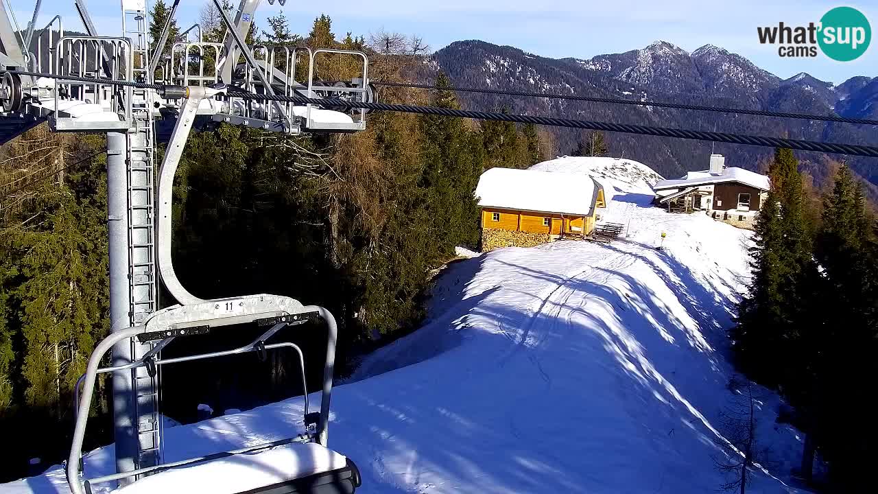Web kamera Kranjska Gora VITRANC 2 | gornja postaja