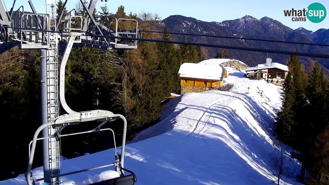 Webcam Kranjska Gora VITRANC 2 | Station supérieure