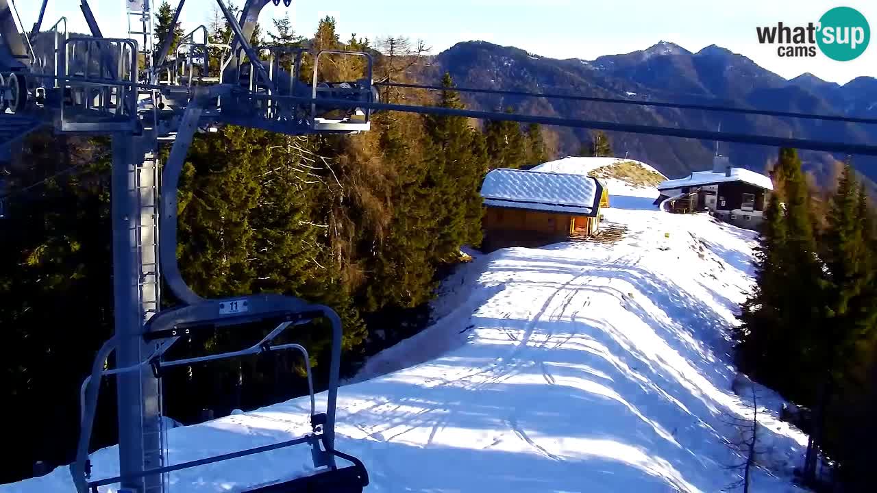 Webcam VITRANC 2 | Kranjska Gora – stazione superiore