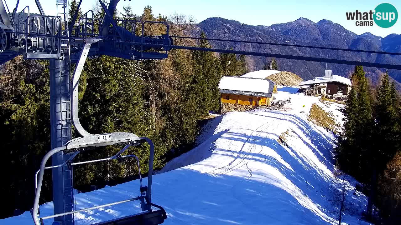 Webcam VITRANC 2 | Kranjska Gora – stazione superiore