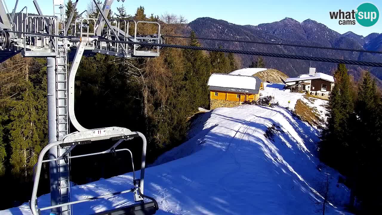 Webcam Kranjska Gora VITRANC 2 | Station supérieure